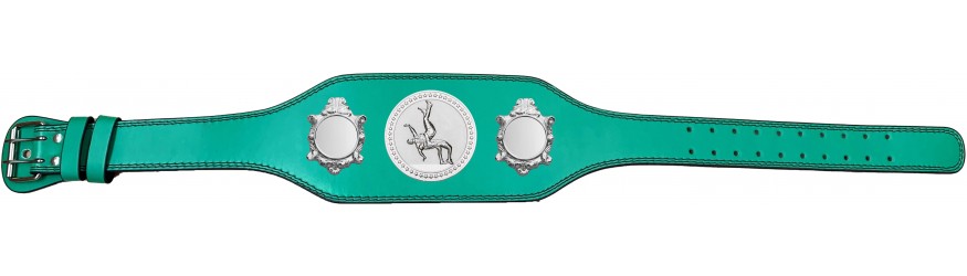 WRESTLING CHAMPIONSHIP BELT-BUD003/S/WRESTS-4 COLOURS